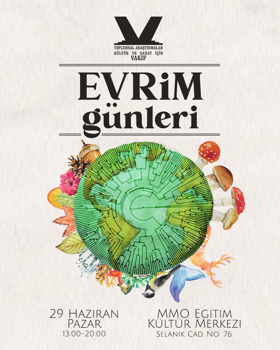 EVRİM GÜNLERİ